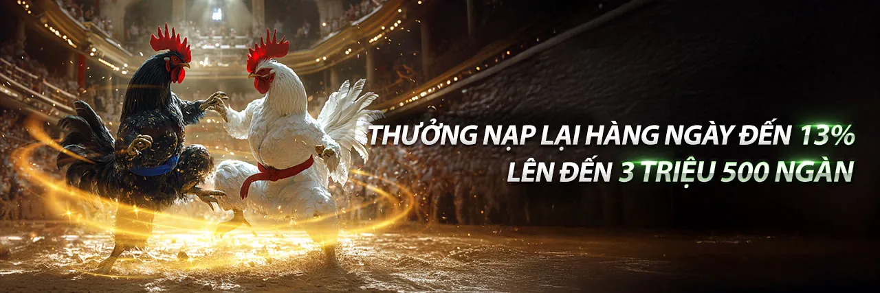 Hình ảnh chính về an toàn cá cược thể thao tại okkinh casino