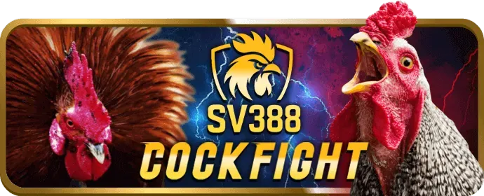 Trò chơi máy đánh bạc tỷ lệ thắng cao tại okkinh casino