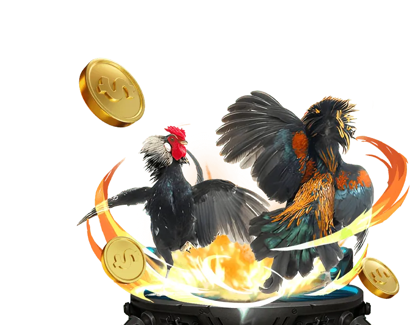 Cờ bạc có trách nhiệm okkinh casino